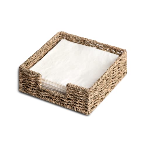 StorageWorks Napkin Holder