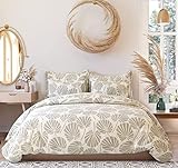 THE HOME STYLE 400 TC Cotton Elastic Fitted All Around Printed King Size Double Bed Bedsheet wih 2 Pillow Cover (72"x78", Adam Cream)