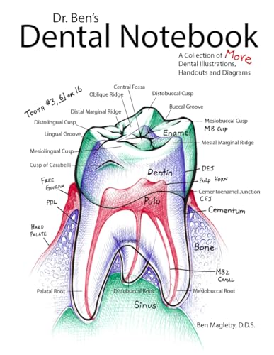 Dr. Ben's Dental Notebook: A Collection of Dental Illustrations, Handouts and Diagrams