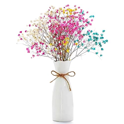 White Ceramic Vase