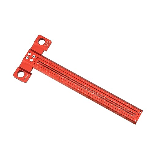 ACEgoes Ruler 12in & 300mm…