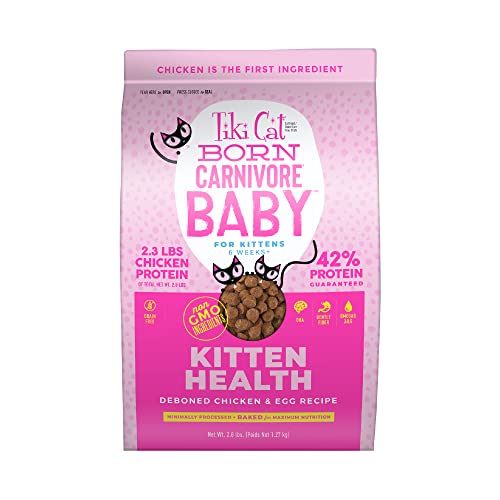 Tiki Cat Born Carnivore Baby