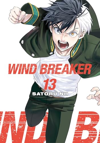 WIND BREAKER Vol. 13