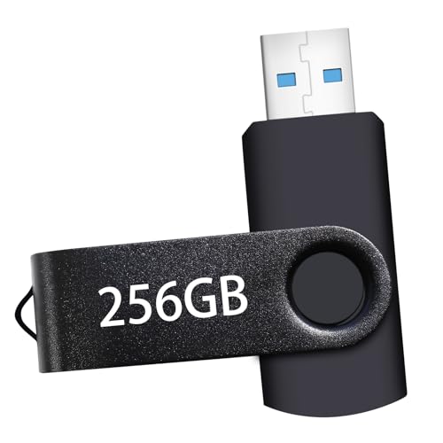 USB Flash Drive 256GB, Portable Thumb Drive: Memory Stick 256GB, Large Capacity USB Drive with Keychain, High-Speed USB 2.0 Data Storage Flash Drive 256GB for PC/Laptop