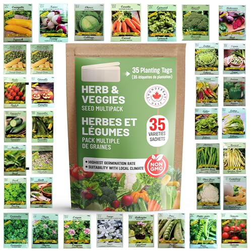 THUNDERBAY-GBSE Vegetable & Herb Seed Variety Pack of 35 Heirloom Sachets Approx. 6000 Seeds(100% Non GMO,35 Individually Packed Sachets, 35 Planting Tags) 35 sachets d'herbes et de légumes