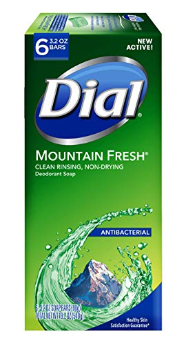 Dial Antibacterial Bar Soap Bars 4