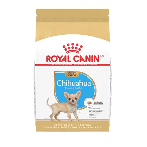 Royal Canin Chihuahua Adult Dry Dog Food