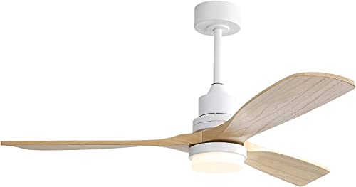 CACI-0002-2 Ceiling Fans
