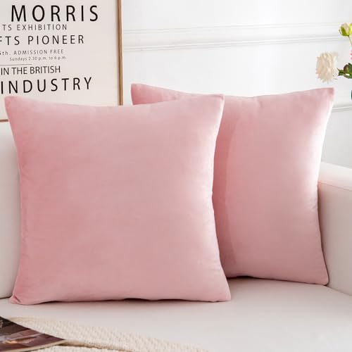 HERAYLI Velvet Decorative Throw Pillow Covers, Soft Square Cushion Case Home Decor for Living Room Couch Bed Sofa, Set of 2 Pack,