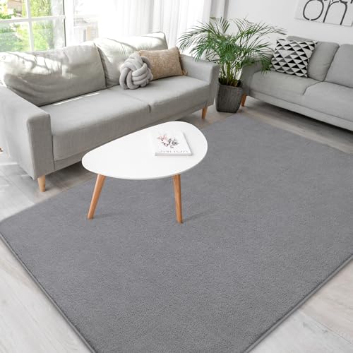 B BENRON Soft Area Rugs