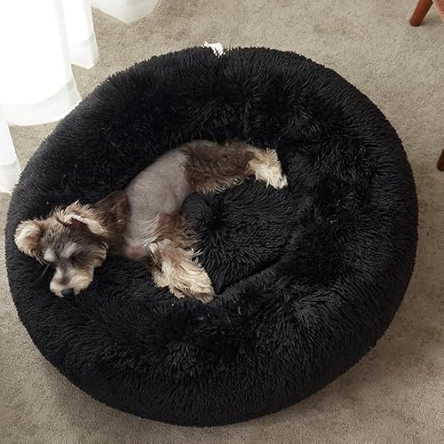 ZEXSAZONE Small Cat Bed Doughnut Shape for Kittens & Small Dogs | Soft Plush Washable Puppy Bed | Raised Sides for Head & Neck Support | Reversible 2-in-1 Pet Cushion (S Black)