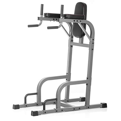 XMARK Knee Raise, Dip Stand with Push Up Station, Commercial Vertical Knee Raise, Captain's Chair, Upper Body and Core Workout Machine