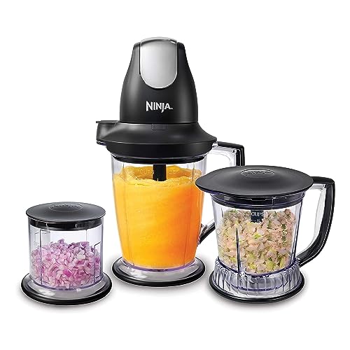 Ninja Food Blender/Processor with 450-Watt Base, 48oz