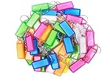 Storite Plastic Multicolor Keyring & Keychain with Name Tag Labels Assorted Keychain with Two Side Id Label and Split Ring for Office, Home Key (Pack of 25)