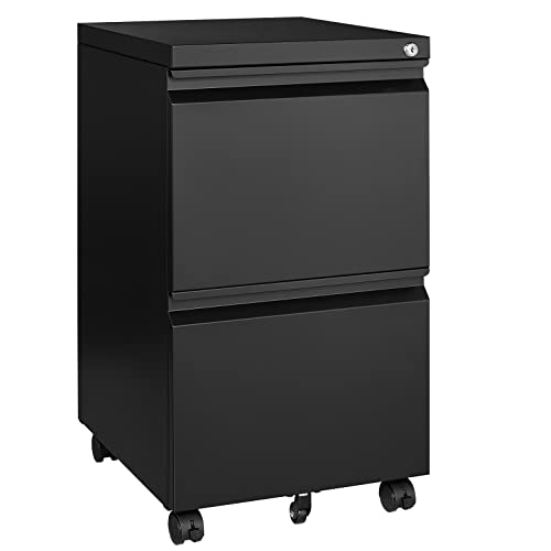 BYNSOE 2 Drawer File Cabinet with Lock Vertical Filing Storage Cabinet Office Home Steel Vertical File Cabinets for A4 Legal/Letter Size File Cabinet Locked,Assembly Required