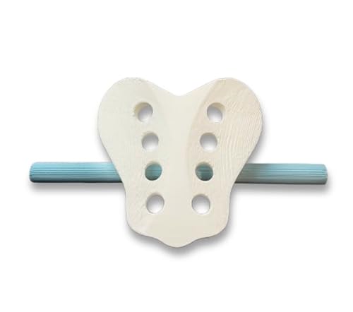 OMM Sacrum Model with Digital Visualization of Sacral Osteopathic Mechanics (100)