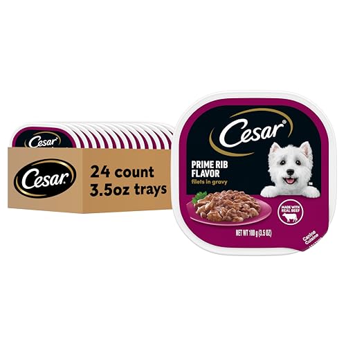 Cesar Adult Wet Dog Food Filets in Gravy