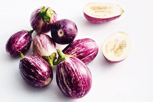 250 Purple Brinjal Round Vegetable Seeds, Ideal for Home Gardens and Kitchen Gardens, Easy to Cultivate with Excellent Yield, Start Growing Fresh, Flavorful Brinjal in Your Garden