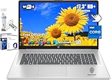 HP 17 Business Laptop, 17.3" HD+ BrightView Touch Screen, Intel 10-Core i7-1355U(Up to 5 GHz), 64 GB RAM, 2 TB SSD, WiFi 6, Bluetooth, 720P Webcam, Win 11 Pro, Microsoft Office Pro License, Silver