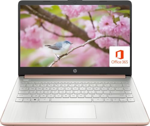 HP 14 Premium HD Portable Laptop Computer Students Business, Quad-Core Intel Celeron Processor, 8GB RAM, 256GB Storage(128GB eMMC+64GB Ghost Manta SD Card), 1 Year Office 365, HDMI, Win 11