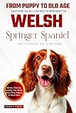 The Ultimate Welsh Springer Spaniel Big Guide: Everything You Will Ever Need To Know About The Welsh Springer Spaniel Book