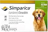 (OG) TM Presents SIMPAR I CA Chewable Tablets for Dogs of (20-40 kg)|| (1 Tablet)