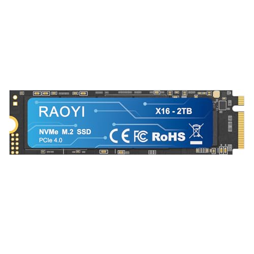 RAOYI Internal SSD Internal Solid State Drive 3D NAND Flash Advanced SSD Internal Hard Drive for PC Laptop