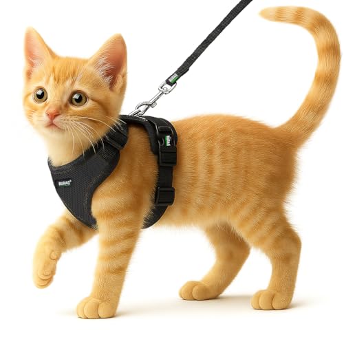 Buraq No Pull Cat Harness with Leash, Escape Proof, Ultra-Light Weight, Air Mesh Fabric, Aesthetic Design Adjustable Cat Leash with Harness (XXS - Black)