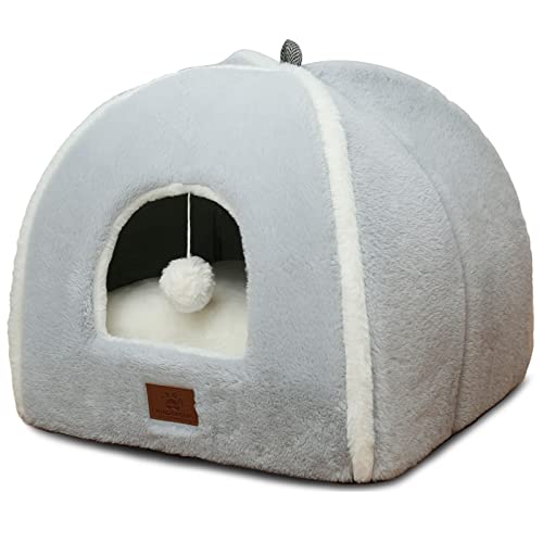 WINDRACING cat Bed
