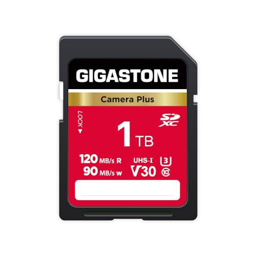 GIGASTONE SD Card Camera Plus Series Group 2