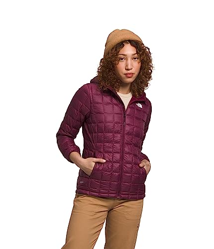 THE NORTH FACE Women's ThermoBall Eco Hoodie 2.0 (Standard and Plus Size) - PFAS Free