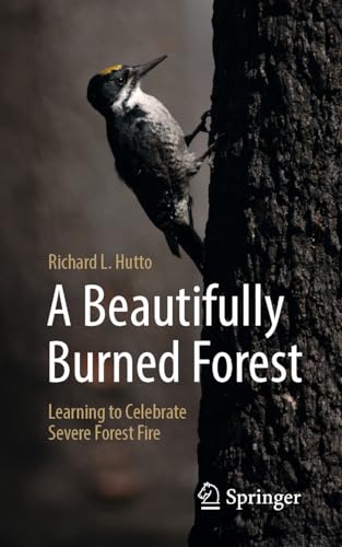 A Beautifully Burned Forest: Learning to Celebrate Severe Forest Fire