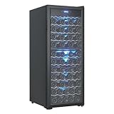 80 Bottle Double Zone Wine Refrigerator with Digital Touch Screen & LED Display, Free-Standing Cooler, Fast Cooling, Low Noise, Red/White Wine, Champagne and Beer, for Home Bar, Wine Cellar, Kitchen