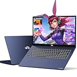 NIMO 17.3” Business-Laptop Ryzen 9 8945HS, 64GB RAM 2TB SSD, Radeon 780M, 54W Max TDP, 75Wh Battery, USB-C 4.0, PD 100W, Backlit Keyboard, Fingerprint Unlock, FHD Laptop for Gaming Student Office