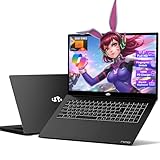 NIMO 17.3” Business-Laptop Ryzen 9 8945HS, 64GB RAM 2TB SSD, Radeon 780M, 54W Max TDP, 75Wh Battery, USB-C 4.0, PD 100W, Backlit Keyboard, Fingerprint Unlock, FHD Laptop for Gaming Student Office