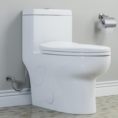 HOROW One-Piece Toilet