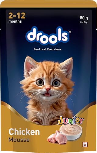 Drools Kitten Cat Wet Mousse 80g | Chicken Flavour | Rich in Protein | Promotes Hydration & Easy to Digest | Grain Free | No Artificial Flavours | Packed with Essential Vitamins & Antioxidants