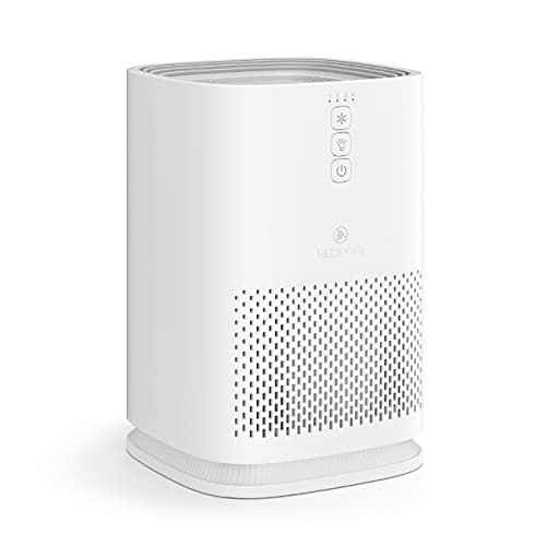 Air Purifier with True HEPA H13 Filter