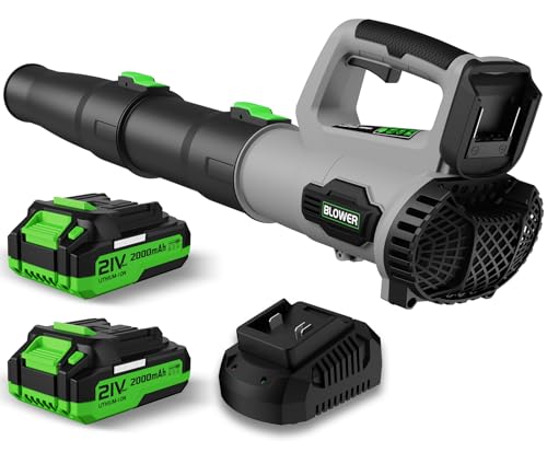 LEAPUL Leaf Blower