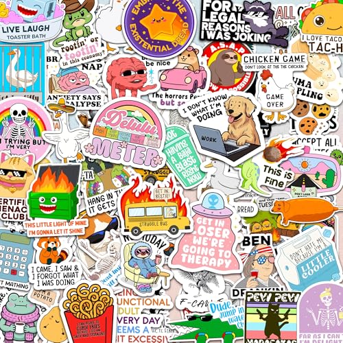 Delulu is Da Solulu by Puraesla - 300PCS Funny Holographic Stickers for Adults - Sarcastic Meme Decals for Friends,Co Workers Waterproof Vinyl for Laptop, Water Bottle, Journal