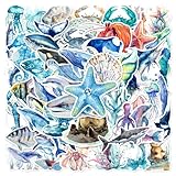 50 Pcs Watercolor Marine Life Stickers - Waterproof Vinyl Ocean Creature Decals (Dolphins/Whales/Turtles Styles) for Skateboard, Laptop & Luggage(Marine Bio-50)