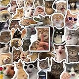 Cat Meme Stickers 100 Pcs