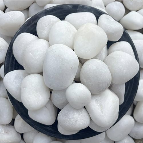Foodie Puppies Polished White Pebbles Glossy Stones - (1Kg, 2.5cm - 4cm) | for Home Decorative, Vase Fillers, Aquarium Fish Tank, Garden River Rock Unplanted Substrate