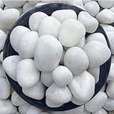 Foodie Puppies Polished White Pebbles Glossy Stones - (1Kg, 2.5cm - 4cm) | for Home Decorative, Vase Fillers, Aquarium Fish Tank, Garden River Rock Unplanted Substrate