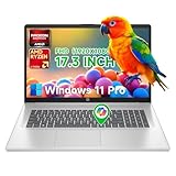 HP Flagship 17 Business Laptop - Windows 11 Pro + Free Office 365 for The Web, 17.3" Full HD Anti-Glare IPS Display, AMD Ryzen 5 7430U, 16GB RAM + 512GB SSD, Webcam, WiFi 6, USB A/C, HDMI, Copilot